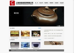 上海網(wǎng)絡(luò)營(yíng)銷案例集錦 從網(wǎng)站建設(shè)到整合推廣的精算師式成功實(shí)踐