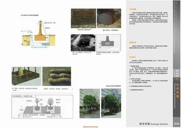 探尋現(xiàn)代與自然的交融 上海江南廣場景觀設(shè)計(jì)解析